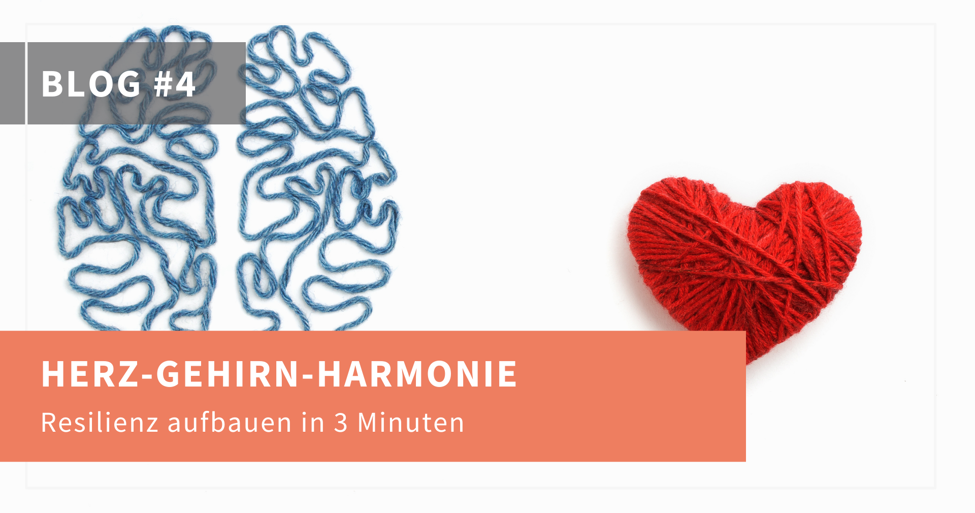 Read more about the article Herz-Gehirn-Harmonie – was steckt dahinter?